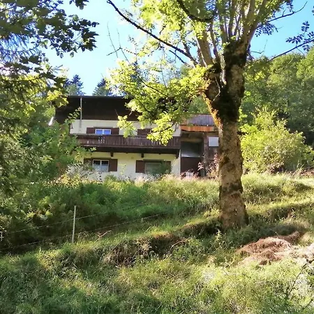 Lägenhet Ferienwohnung In Abgelegener Ski- Und Wanderhutte