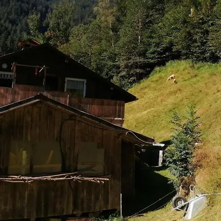 Ferienwohnung In Abgelegener Ski- Und Wanderhutte Lägenhet *
